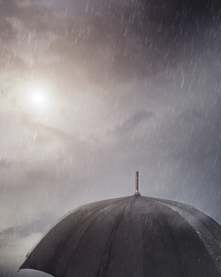 image of rain falling on an umbrella